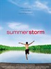 夏日风暴(2004)