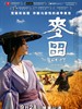 麦田