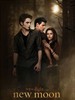 暮色2：新月/The Twilight Saga: New Moon(2009)