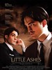 达利和他的情人/Little Ashes