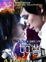 如梦 Like a Dream(2009)