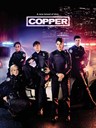菜鸟警察 Rookie Blue(2010)