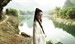 万层浪/Wan Ceng Lang(2010)