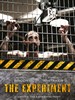 死亡实验 The Experiment(2010)