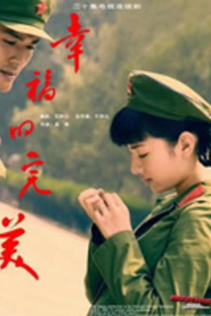 幸福的完美(2010)