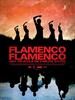 弗拉明戈传奇/Flamenco, Flamenco