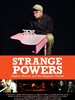 Strange Powers: Stephin Merritt and the Magnetic Fields(2010)