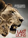最后的狮子/The last lions(未知)