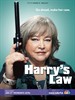 鞋店律所/Harry's Law(2011)