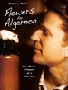 献给阿尔吉侬的花束/Flowers for Algernon