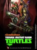忍者神龟/Teenage Mutant Ninja Turtles(2012)