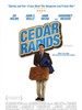 大假一场/Cedar Rapids(2011)