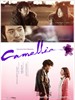 山茶花/Camellia(2010)