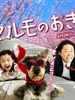 高护木的规矩/マルモのおきて(2011)