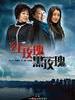 红玫瑰，黑玫瑰(2011)