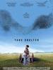 寻求庇护 Take Shelter(2011)