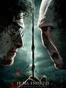 哈利·波特与死亡圣器(下) Harry Potter and the Deathly Hallows: Part 2(2011)