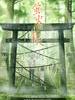 萤火之森 蛍火の杜へ(2011)