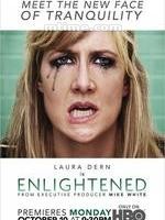 顿悟人生Enlightened (2011)