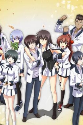 认真和我恋爱 真剣で私に恋しなさい!(2011)