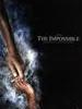 不可能/The Impossible