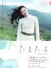 偶然/Tamatama(2011)