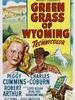 怀俄明青草地/Green Grass of Wyoming(1948)