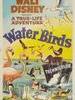 水鸟/Water Birds(1952)