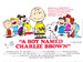 小英雄擂台斗智/A Boy Named Charlie Brown(1969)