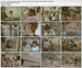 以人民之名/In the Name of the People(1985)