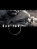 轮盘记/Rad, Das(2003)
