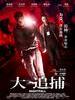 大追捕(2012)