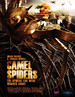骆驼蜘蛛/Camel Spiders(2011)