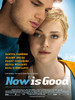 活在当下/Now Is Good(2012)