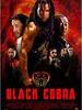黑色眼镜蛇/Black Cobra