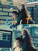 第一次/The First Time(2012)