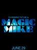 魔力麦克/Magic Mike