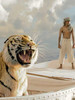 少年Pi的奇幻漂流/Life of Pi(2012)