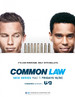执法双雄/Common Law