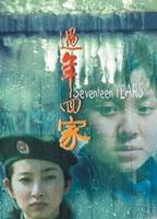 过年回家Seventeen Years (1999)