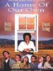 自己的家(1993)