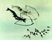 小蝌蚪找妈妈/Baby Tadpoles Look for Their Mother(1960)