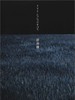 关于莉莉周的一切(2001)