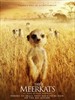 蒙哥(2008)