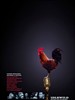 爱德怀德/Idlewild