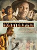 甜蜜乐音/Honeydripper(2007)