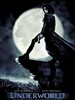黑夜传说/Underworld(2003)