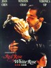 红玫瑰白玫瑰/Red Rose White Rose(1994)