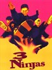 小鬼难缠又当家(1992)
