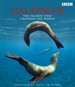 加拉巴哥群岛/Galápagos(2007)